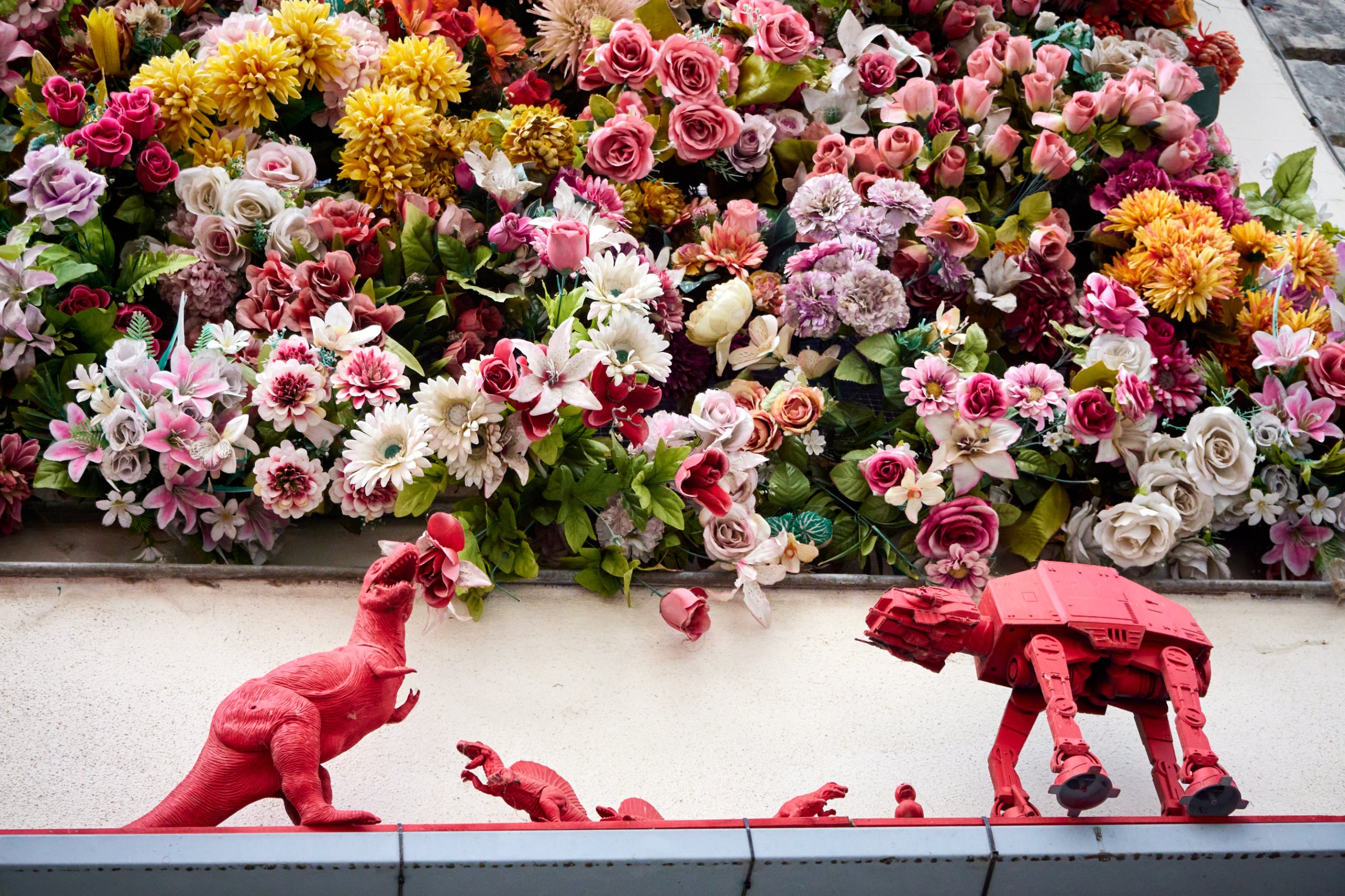 2022 08 22 Tournai 2794